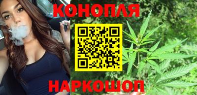 прущие грибы Ирбит