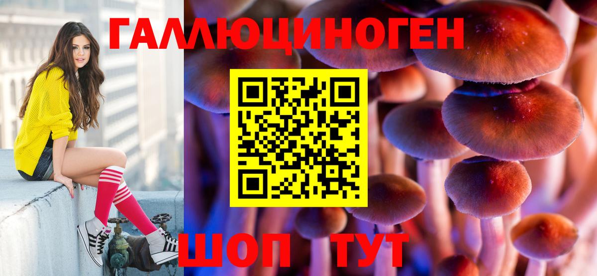 Галлюциногенные грибы Psilocybine cubensis Миллерово